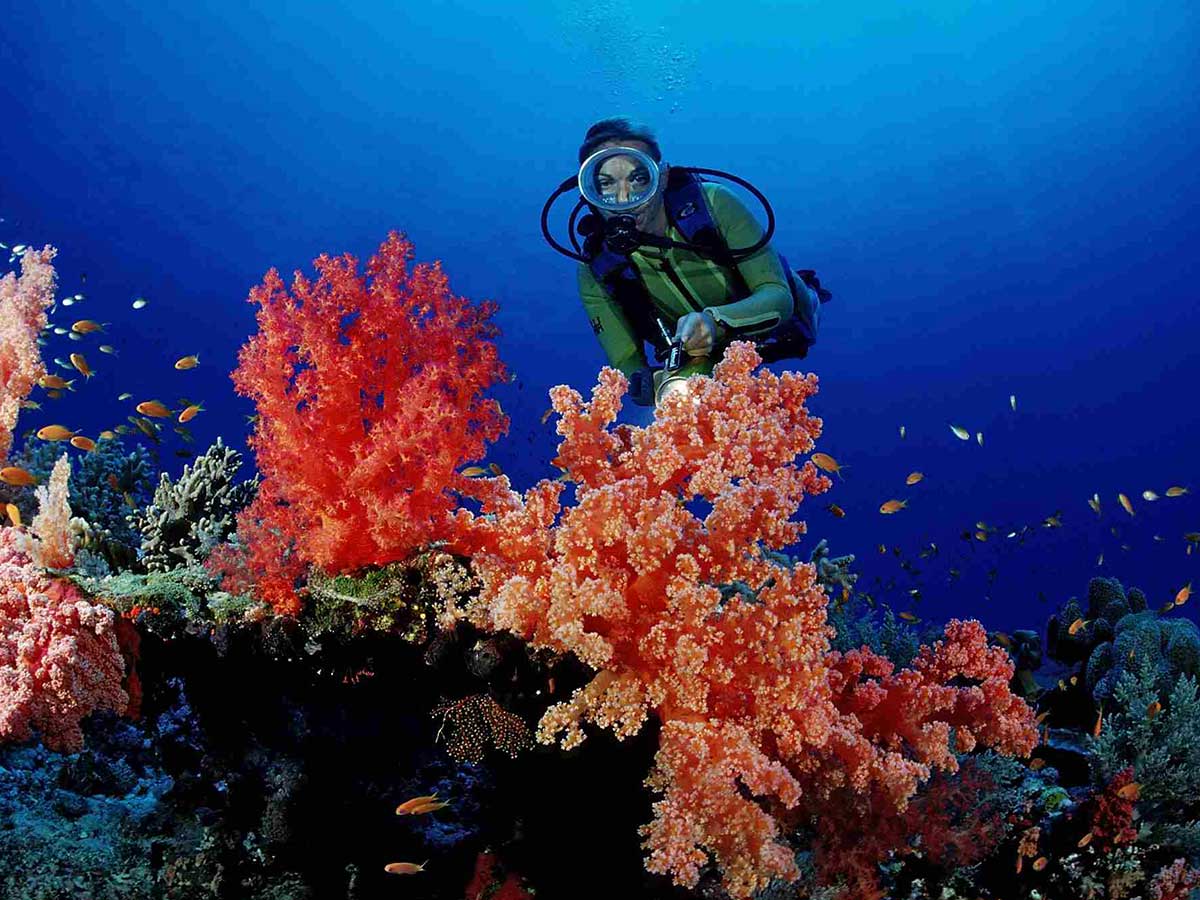 Dive Sites In Hurghada