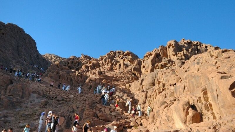  Mount Sinai