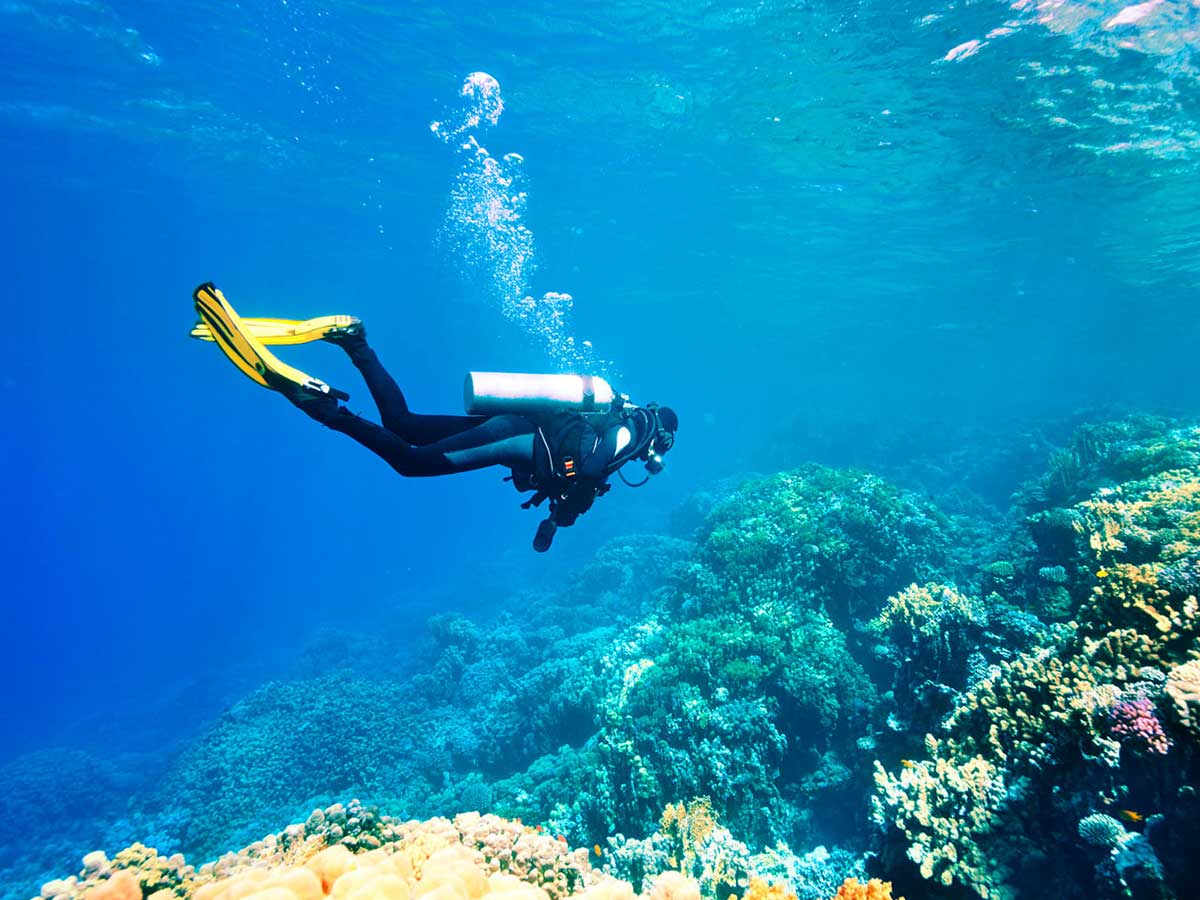 Travel To Hurghada For Diving