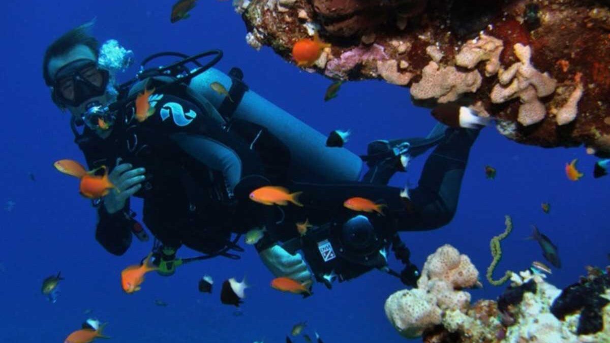 Diving Excursions in Hurghada