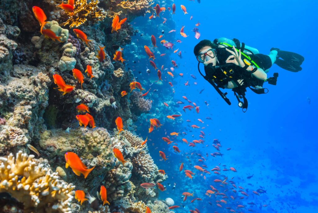Top dive sites in Hurghada