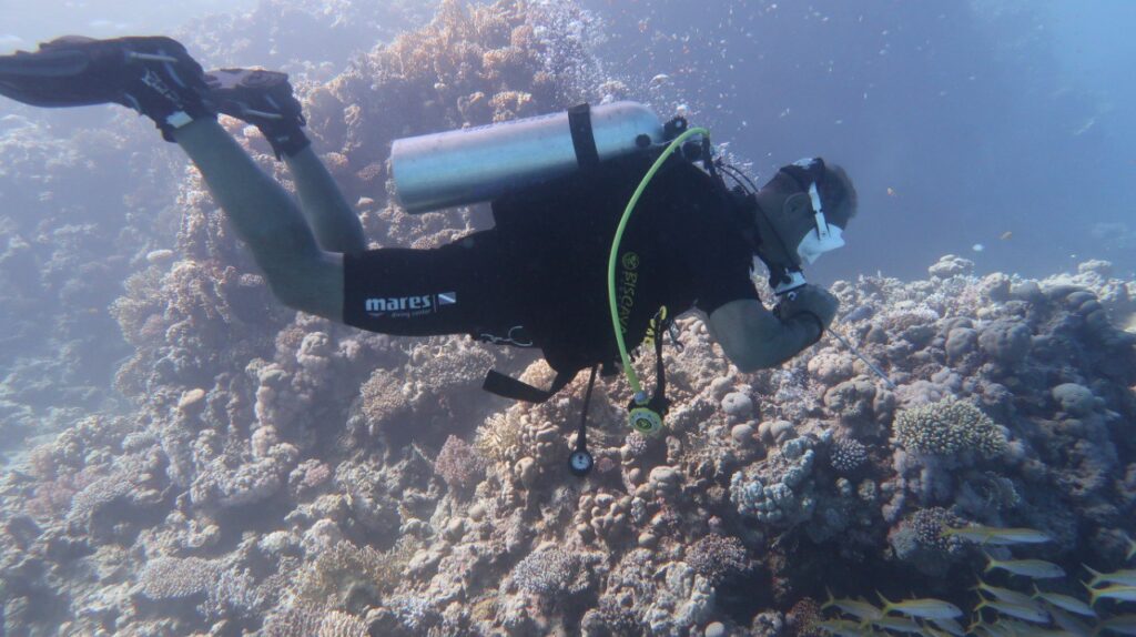 Scuba Hurghada Diving Center