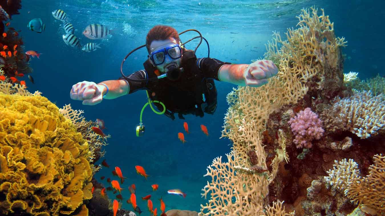 Exploring the Top Diving Spots in Hurghada