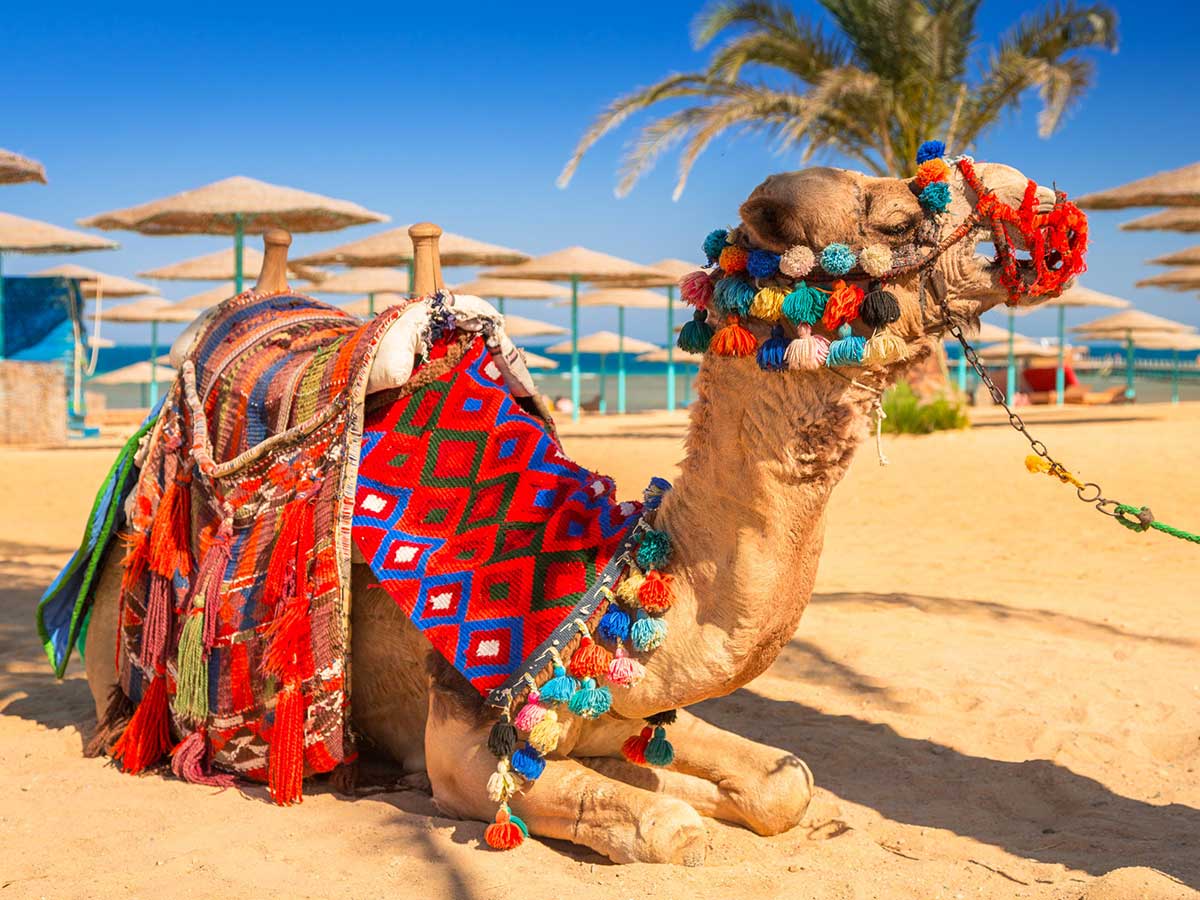 Hurghada Day Trips