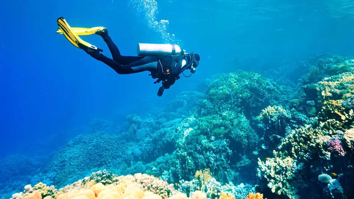 Travel To Hurghada For Diving