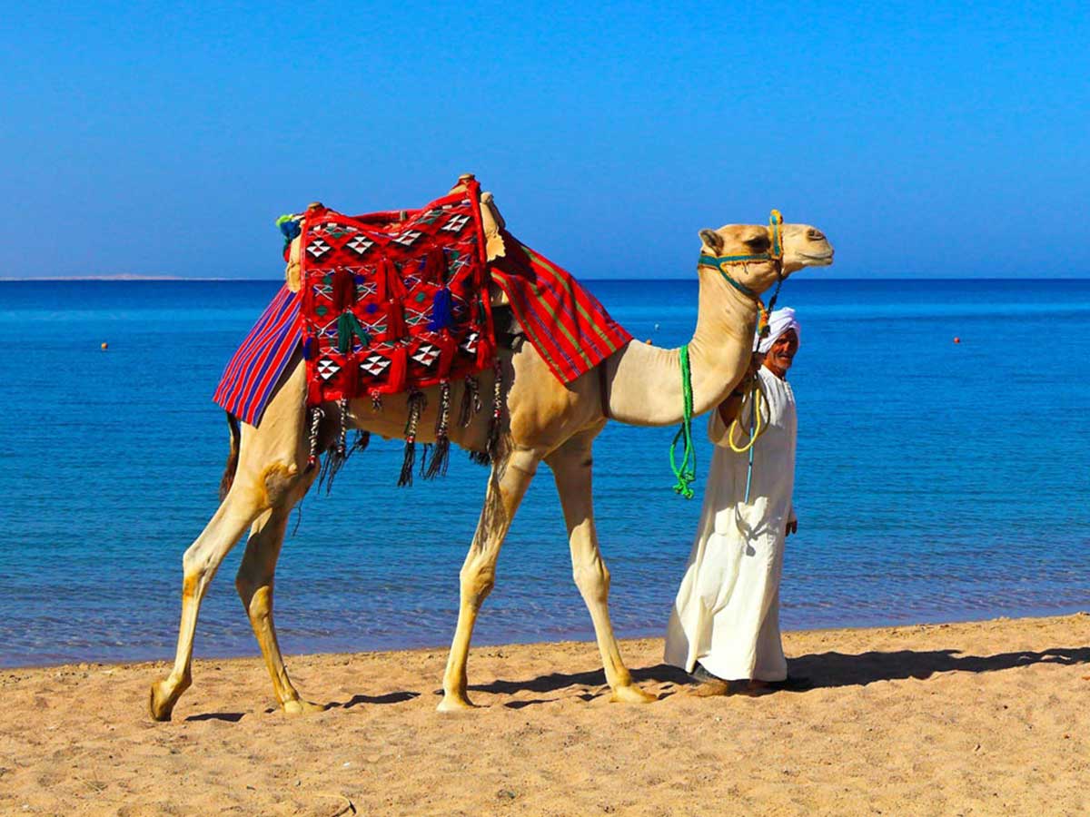 Traveling to Hurghada