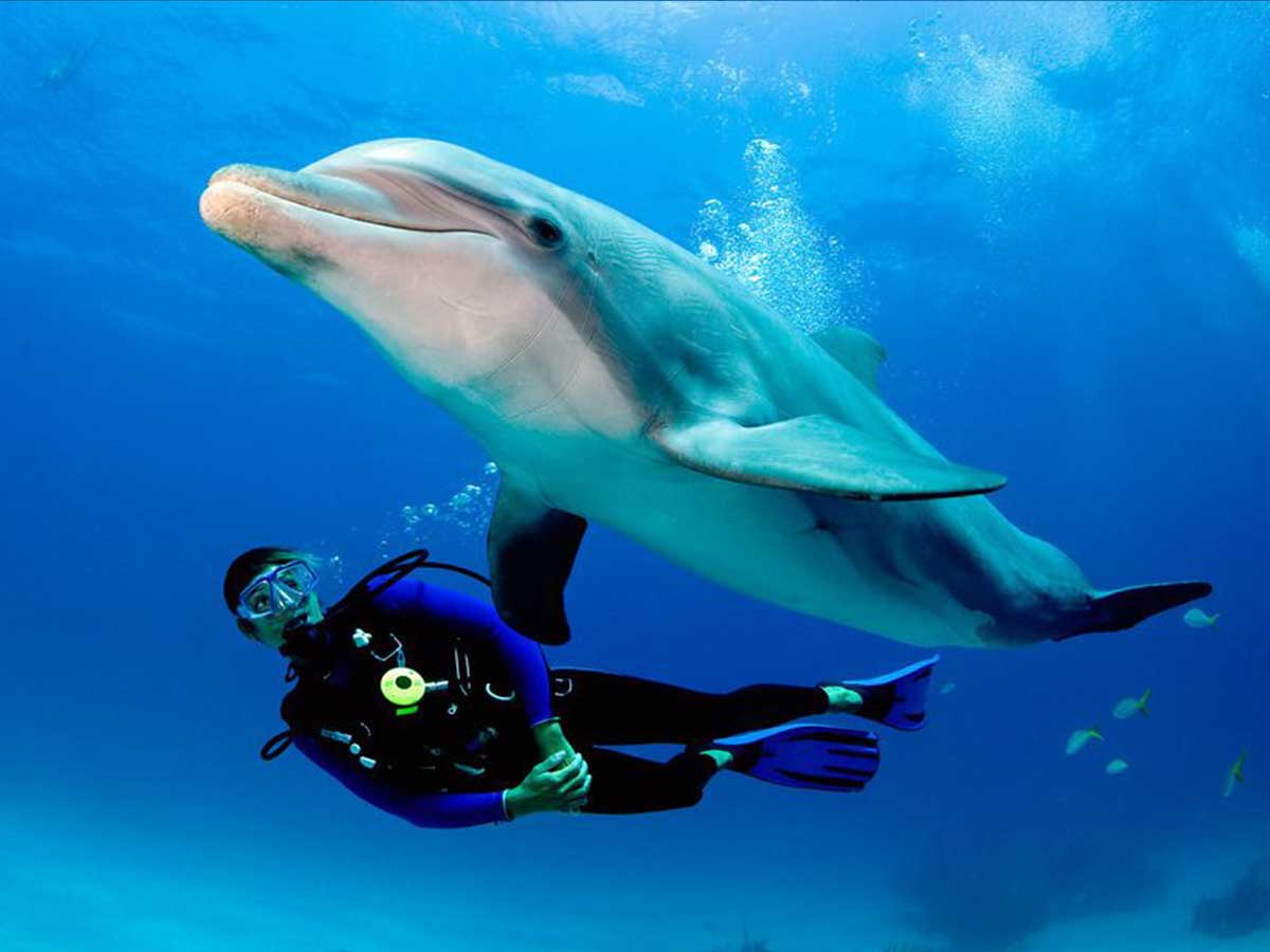 best scuba diving