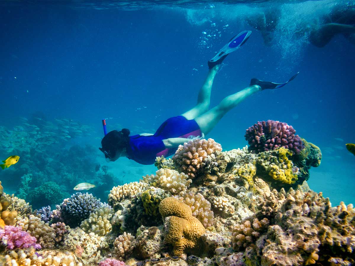 Snorkeling in Hurghada Everything Prices & Photos