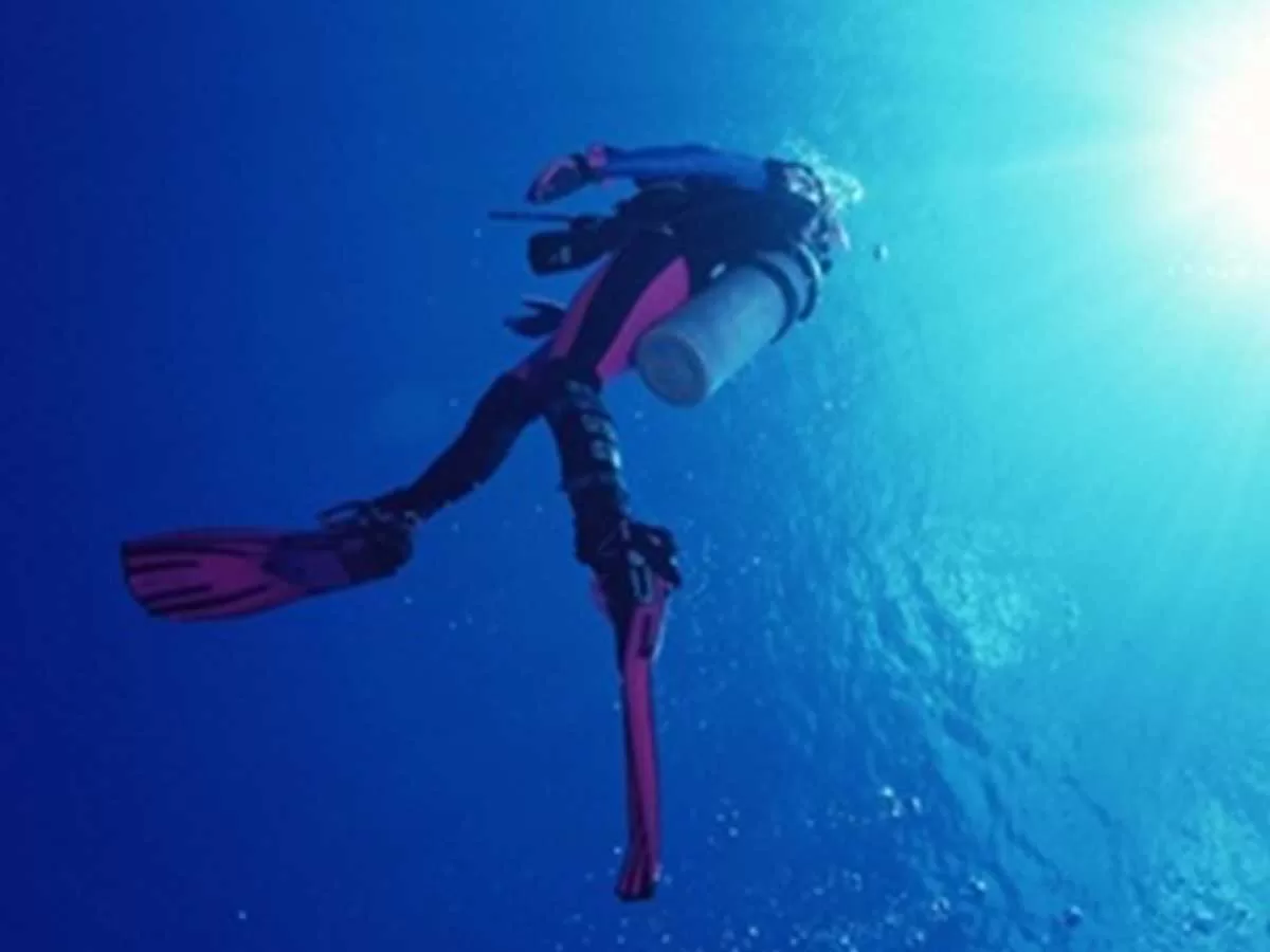 Diving Jobs in Hurghada for Divers in Egypt