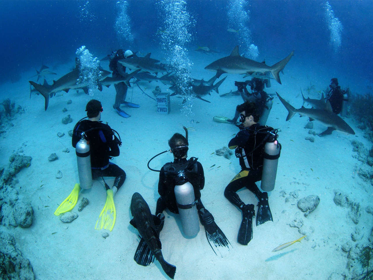 Hurghada Best Diving Center for Divers