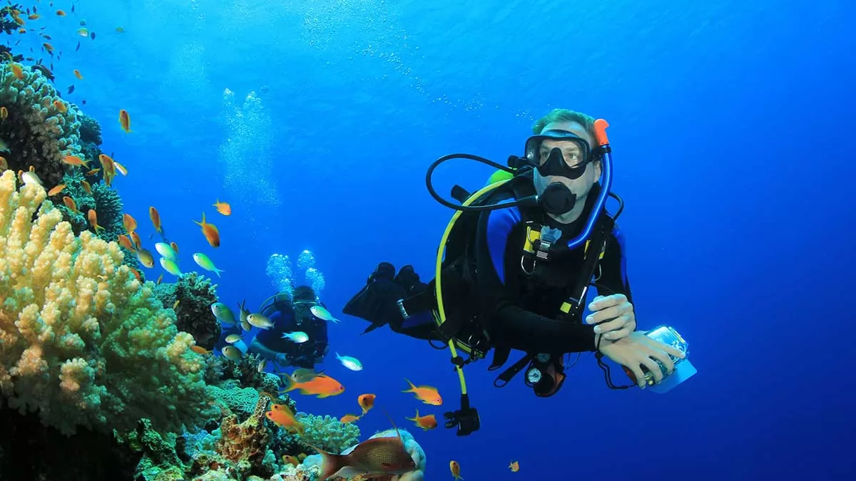 Scuba Diving Hurghada Prices