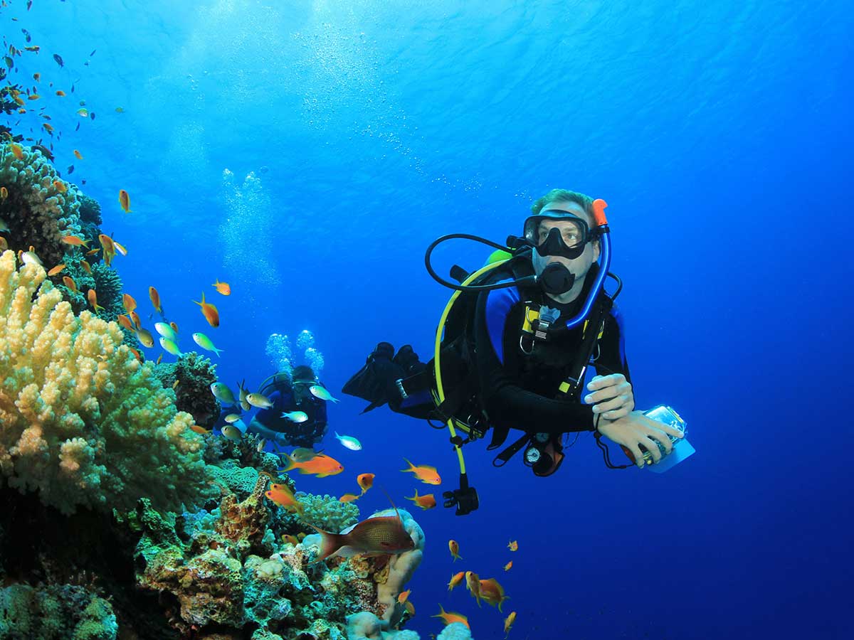 Scuba Diving in Egypt